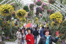  ‘평화의 향기’ 고양꽃박람회 보러 올 고양? 