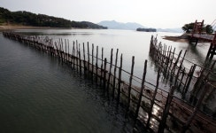  [ESC] 시간을 품은 섬, 남해에 가다 