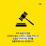  [카드뉴스] 소싸움은 왜 동물학대가 아닐까요 