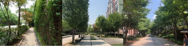  경의선 숲길·은평 창릉천변 등 서울 여름 녹음길 220곳 선정  