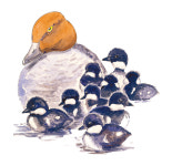  붓으로 그린 듯, 외모만 로맨틱한 게 아니었네 