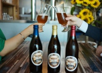  행안부, 인구감소 지역 지원 사업…청도 ‘수제 맥주’ 공장 등  