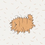  [웹툰] 여름이니까, 더 가까이 