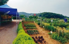  금천구, 힐링 가족 여름 캠핑장 운영 