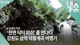  [내기소] 덕풍계곡에서 ‘천연 닥터 피쉬’를 만나다 
