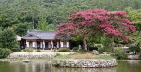  [ESC] 남도는 예술이어라 