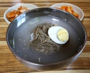 [ESC] 콩돌해변에 누우니 내가 점박이물범이로다