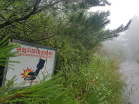 네이버 검색 결과 사진 3