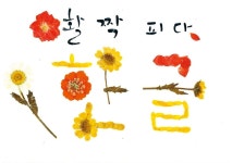 작은 손그림 엽서로 ‘한글을 아름답게 연주하다
