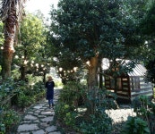 [ESC] 나무야 나무야 제주 가자