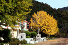 [이 순간] 묘지 비석처럼…교문 기둥만 남은 ‘폐교의 풍경’