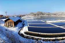 부안 곰소염전 사진촬영지로 뜬다