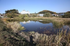 도시공원 훼손 불보듯한데…정부 지원 결국 무산