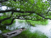 “습지처럼 물 흐르듯, 경계를 허물면 어떨까요?”