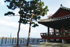 겨울나무 빈 가지 사이로 활짝 열린 한강을 보다