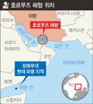 내년 2월 청해부대 호르무즈 해협 파병되나