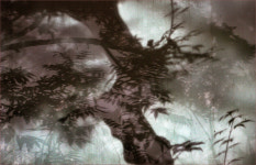 [탁기형의 비어 있는 풍경] 마음속의 그림