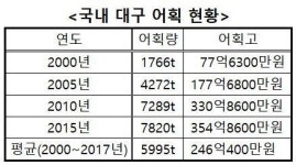 “잘 자라서 다시 오너라”…경남도, 대구 인공수정란 대량 방류