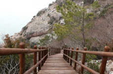 [ESC] 풍류의 섬 보길도를 탐험했네