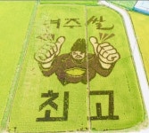 충북 괴산 ‘이색벼 논그림’ 편의점 씨유(CU)와 손잡다