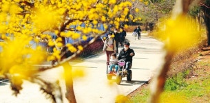 서울의 센트럴파크, 바야흐로 봄천지