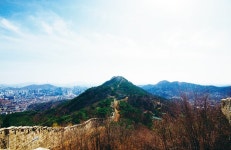 봄꽃 향기보다 더한 문학 향기에 취하다
