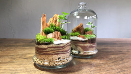 [ESC] 책상 위의 작은 정원 ‘테라리엄’