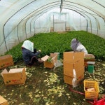 “응답하라 개혁입법”…21대 국회에 바라는 21개의 간절한 외침