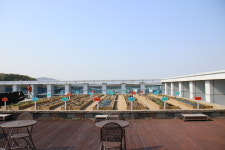 ‘사옥 옥상’ 재발견…텃밭으로 개간하니 힐링 명소로 탈바꿈