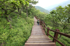 [ESC] 도깨비 같은 매력, 의령