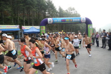 코로나 시국에 1천명 규모 철인경기로 경제활성화? 보은군 ‘빈축’