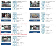 서울 동대문구에 급증한 유기 토끼, 구청이 ‘배후’였다