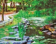 나무는 수백년 살아, 계곡 아이들 ‘깔깔’ 소리에 웃는다