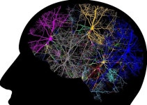 사람은 하루에 6천번 생각한다