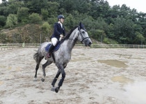 괴산 말 산업 고삐…승마장, 승마길 조성