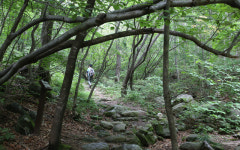 [ESC] 자연은 가까이, 사람은 멀리…청정 봉화에서 ‘불편한 휴식’