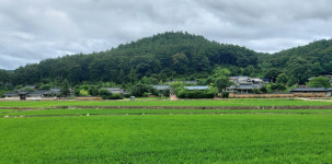 [ESC] 봉화, 공기만 신선한 줄 알았더니