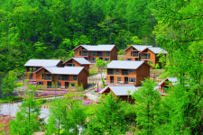 [ESC] 우리 동네 ‘치유의 숲’…전국 국공립·사립 29곳