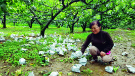 태풍 ‘바비’, 서해로 진로 바뀌어…“강풍 피해 대비해야”