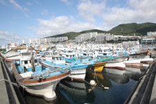 태풍 마이삭으로 전남 농경지 1213㏊ 도복·낙과 피해