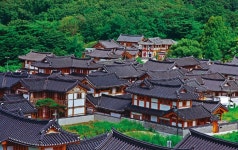 사람은 숲을 가꾸고, 숲은 생명을 품어준다