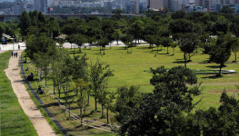 [만리재사진첩] ‘코로나’ 고삐죄기, 주요 한강공원 출입 통제