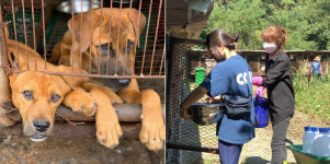 케어 새 대표 “개체 늘리는 구조는 안 하겠지만…”