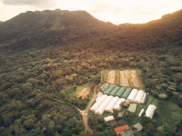 초콜릿의 눈물…‘상아 해안’에 코끼리 대신 카카오 농장