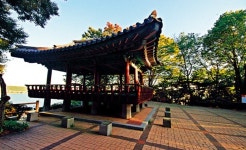 450년 은행나무 주변, 사라진 마을의 흔적을 느낀다