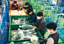 “서울시 친환경 무상급식, ‘우리 먹거리와 지역 경제 발전’ 대안 될 것”