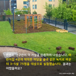 어린이집 마당을 ‘풀밭’으로 바꾸자 벌어진 일