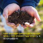 어린이집 마당을 ‘풀밭’으로 바꾸자 벌어진 일