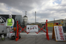 경기도 여주 메추리농장서도 ‘H5형’ AI 항원 검출…가금류 76만여마리 살처분