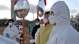 천안 씨오리 농장서 조류인플루엔자…고병원성 검사